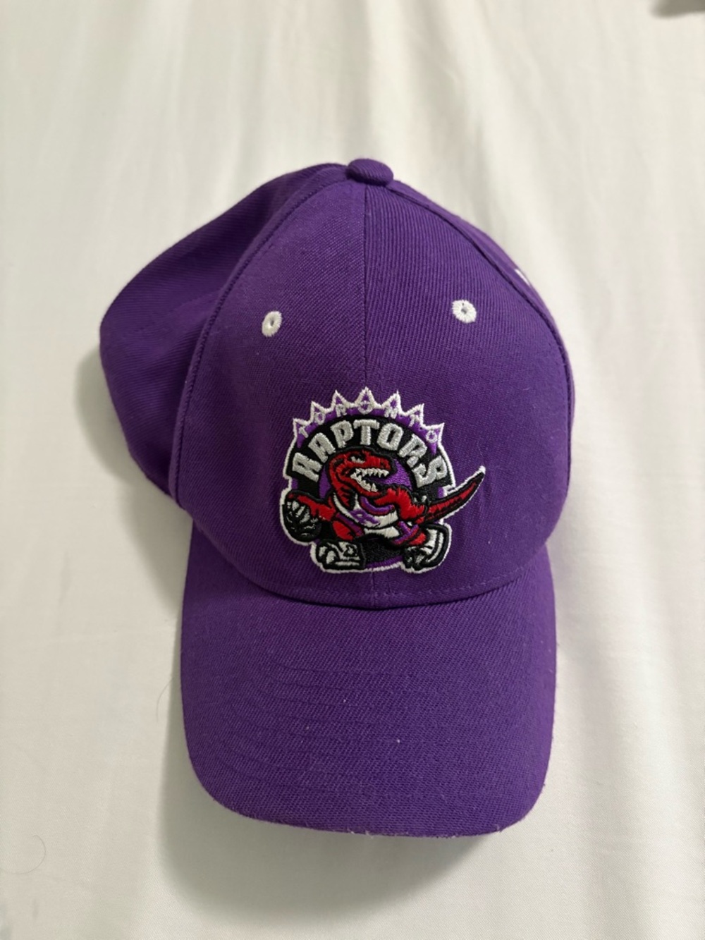 Toronto Raptors Purple SnapBack hat mitchell and ness